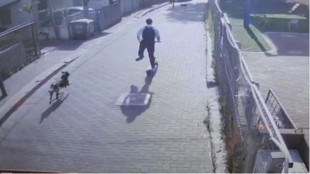 Собака преследует раввина