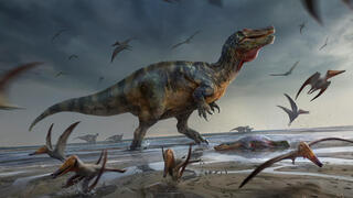 איור של הדינוזאור הגדול