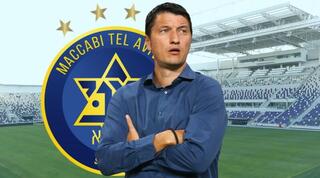 ולדימיר איביץ'