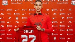 דרווין נונייס מוצג