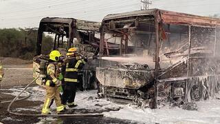 האוטובוסים שנשרפו במערב ראשון לציון