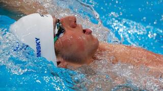 רון פולונסקי