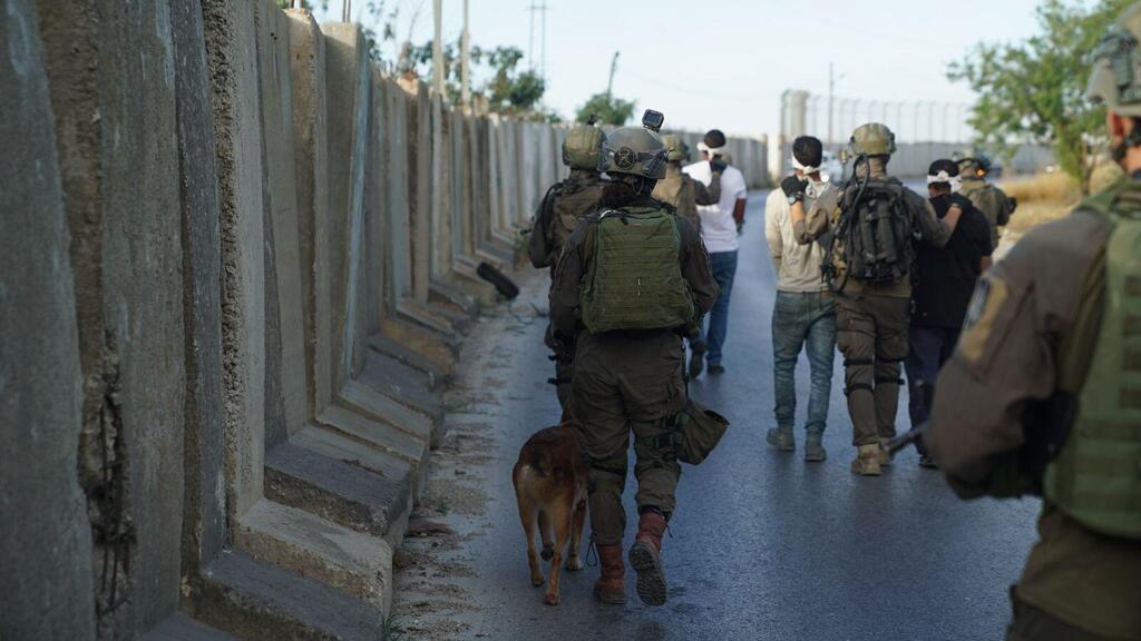 כוחות צה"ל, שב"כ ומג"ב בפעילות מעצרים ביהודה ושומרון