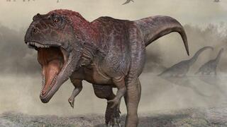 מראה משוער של הדינוזאור מראקסס גיגאס