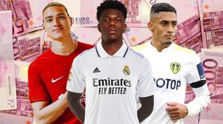 ראפיניה, טשואמני ונונייס