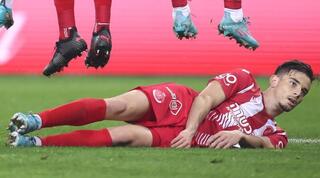 דורון ליידנר