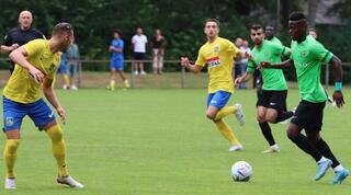 מאוויס צ'יבוטה עם הכדור