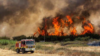 גל חום אירופה שריפות דרום פורטוגל 