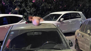 ראש החזיר על האוטו