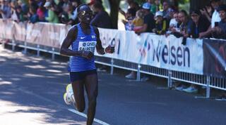 לונה צ'מטאי סלפטר