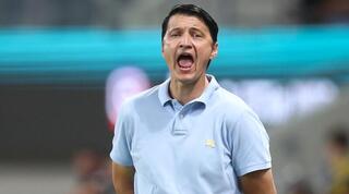 ולאדן איביץ'