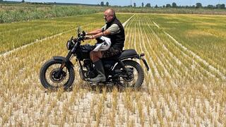 דאריו ויצ'יני סוקר את שדות האורז היבשים שלו