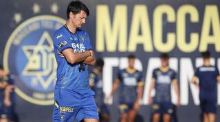 ולאדן איביץ'