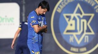 ולאדן איביץ'