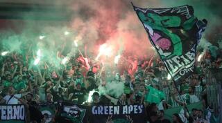 אוהדי מכבי חיפה