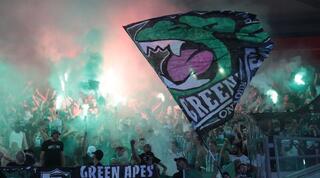 אוהדי מכבי חיפה