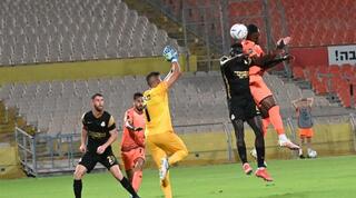 פרדי פלומיין עולה לנגיחה