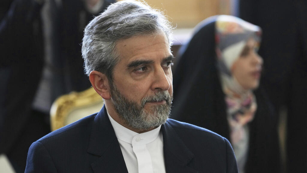 ראש צוות המשא ומתן של איראן שיחות גרעין וינה עלי באגרי קאני