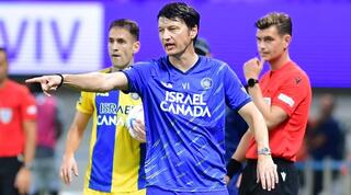 ולאדן איביץ'