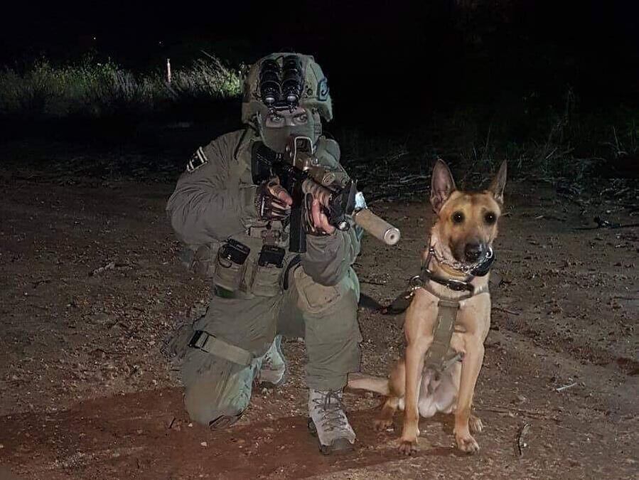 הכלב זילי שנהרג יחד עם לוחם ימ"מ