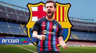 ברנרדו סילבה