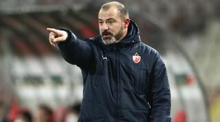 דיאן סטנקוביץ'