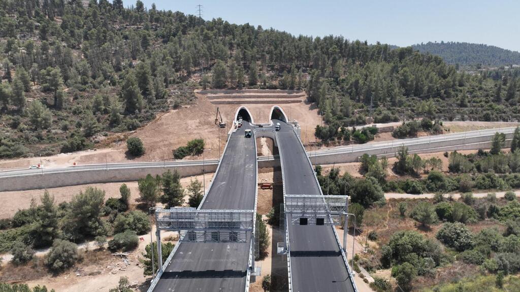 Новый въезд в Иерусалим  