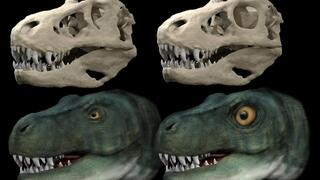שחזור ראש וגולגולת של טירנוזאורוס רקס עם עין וארובת עין מקוריים (משמאל) ושחזור היפותטי עם עין וארובת עין עגולים (ימין)