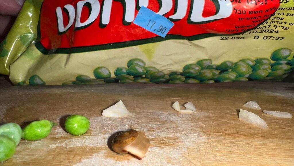 חילזון סנפרוסט