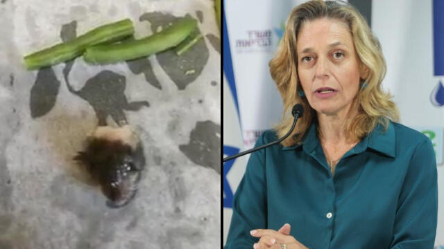 ד"ר שרון אלרעי-פרייס לצד חלקי העכבר שנמצאו בשעועית של סנפרוסט