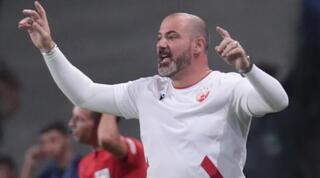 דיאן סטנקוביץ'