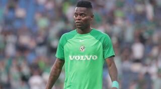 מאוויס צ'יבוטה