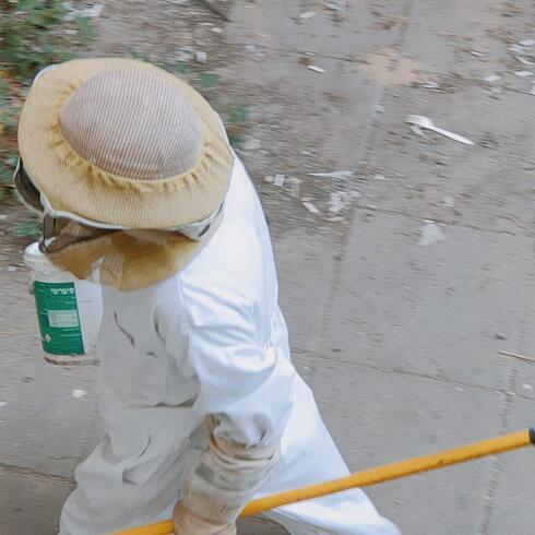 Работники муниципального отдела дезинсекции прибыли на борьбу с осами 