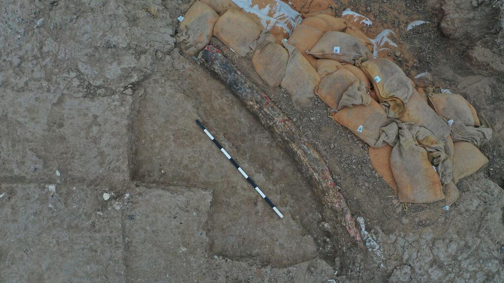 Бивень (Фото: Яков Самидов, Управление древностей) החט במבט מהאוויר