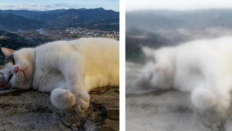 Слева: норма. Справа: при катаракте (Фото: shutterstock) הראייה בקטרקט לעומת ראייה תקינה (משמאל)