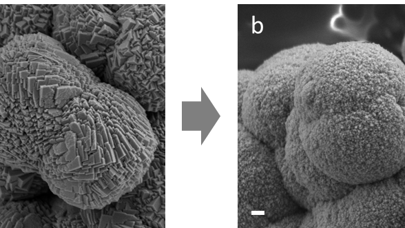 תמונות מיקרוסקופ אלקטרונים סורק של גבישי מנגן-קרובנט, ללא (a) ועם (b) חומצות אמינו המשולבות בתוך הגביש. קנה מידה: 200 ננומטר
