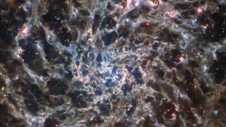 הגלקסיה IC 5332, שתיעד ג'יימס ווב