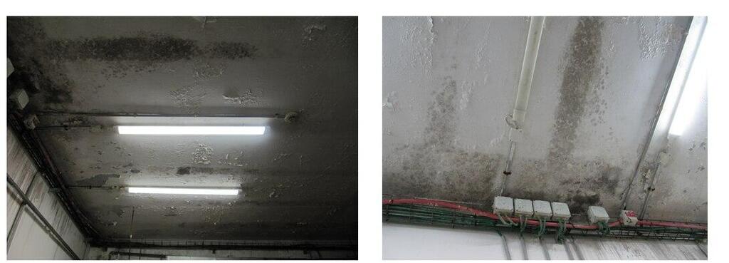 Damaged ceiling in an IDF base (Photo: State Comptroller) תקרה מתקלפת במחנה פלס