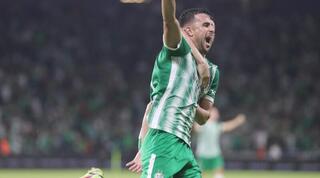 דין דוד חוגג