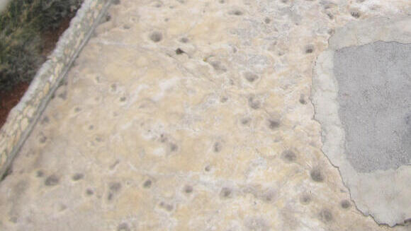 החוקרים משערים כי הגומות העגלגלות במשטח סלע הגיר הן טביעות רגליים של דינוזאורים. מסלולי העקבות באתר אל-אירסל 