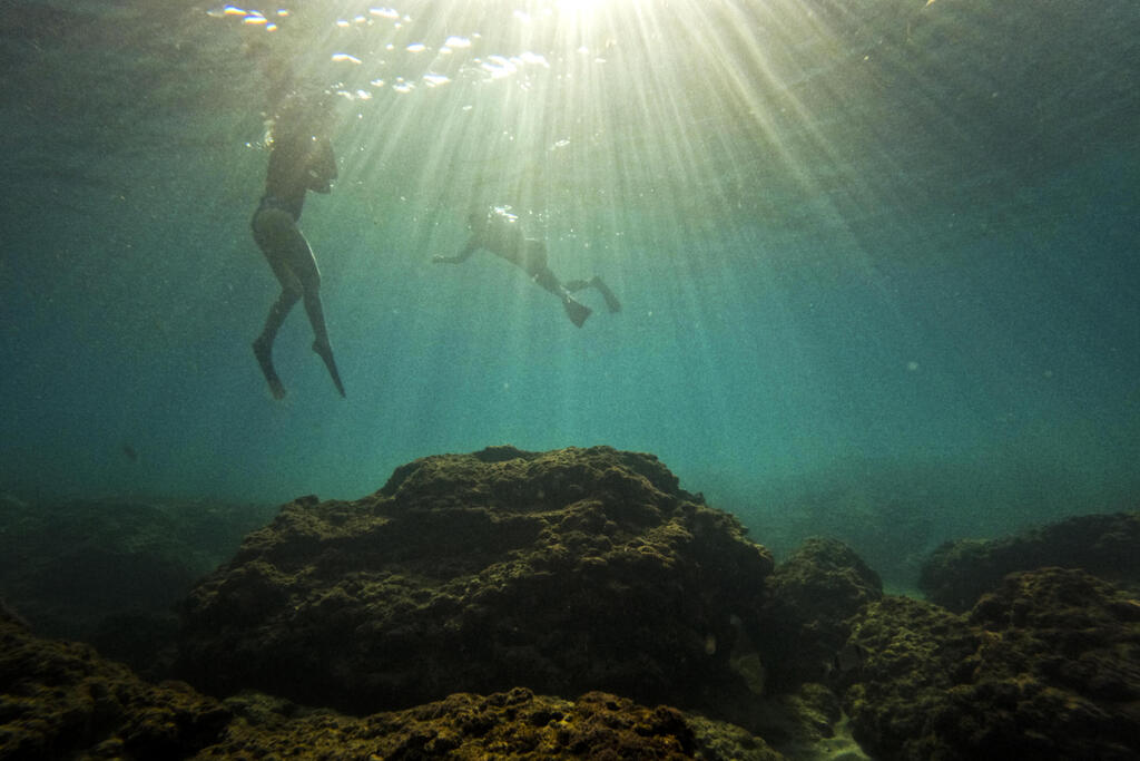 Divers off the coast of northern Israel 