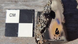 הדגימה של המטאוריט "אל עלי", שנותחה באוניברסיטת אלברטה והובילה לגילוי של שני מינרלים חדשים למדע