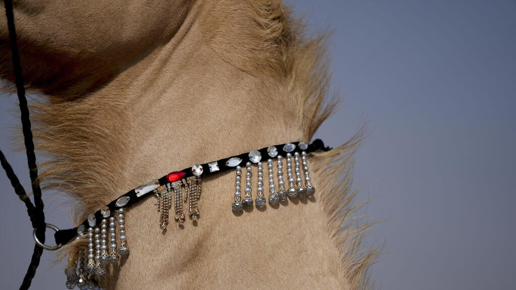 אבני חן על צוואר הנאקה