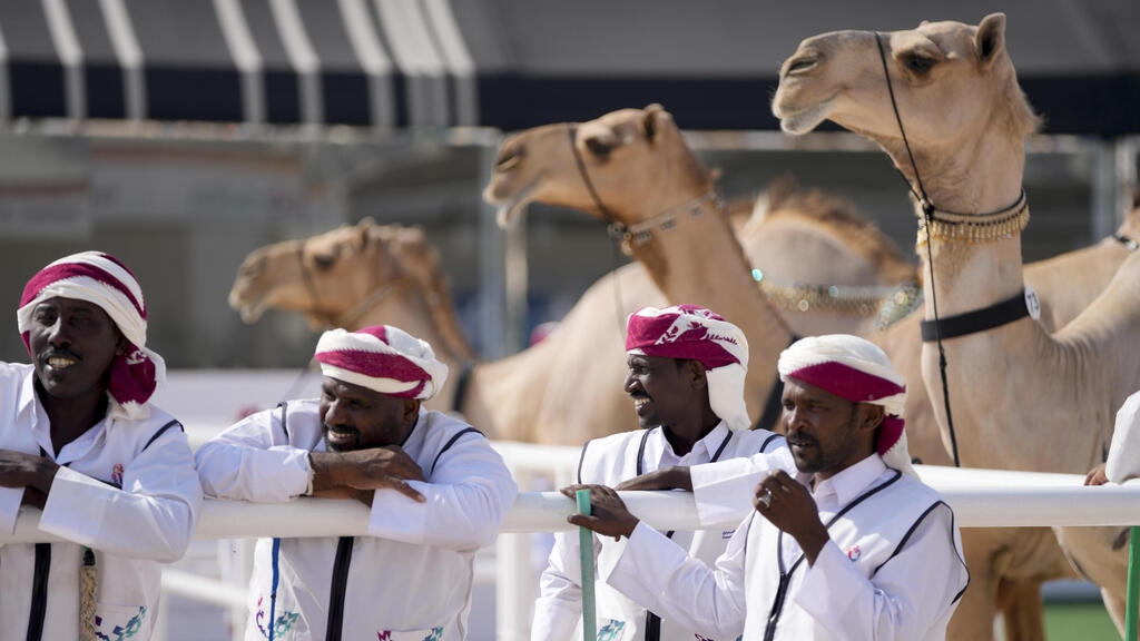שומרים על הגמלים