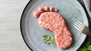 אילוסטרציה