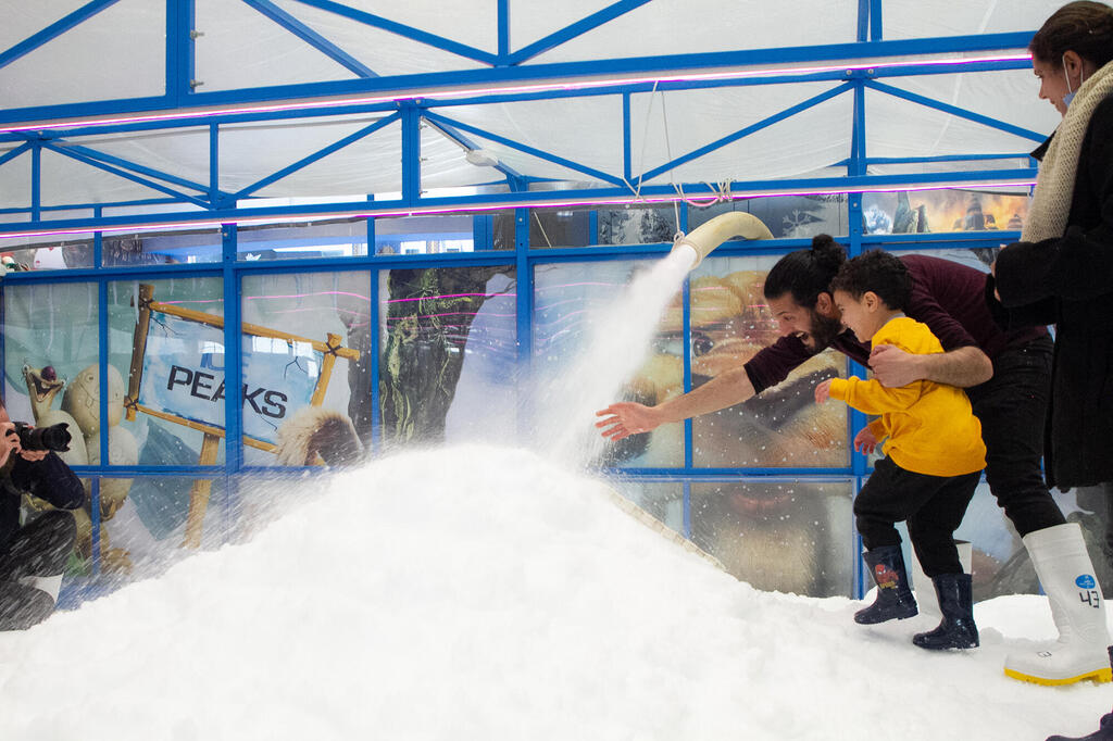 Снежный комплекс в IcePeaks 