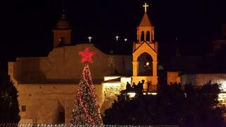 עץ חג המולד ליד כנסיית המולד בבית לחם