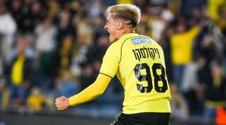 איאון ניקולסקו בטירוף