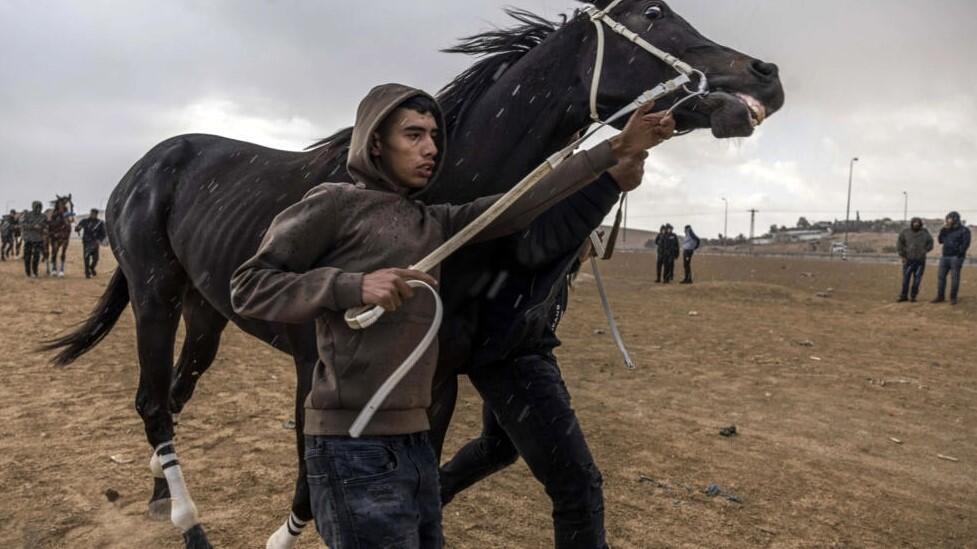 Bedouins have been meeting at the Abu Tlul track to enjoy a hobby they describe as a central part of their heritage 