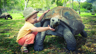 הנאה לכל גיל. חוויה עם צבי ענק